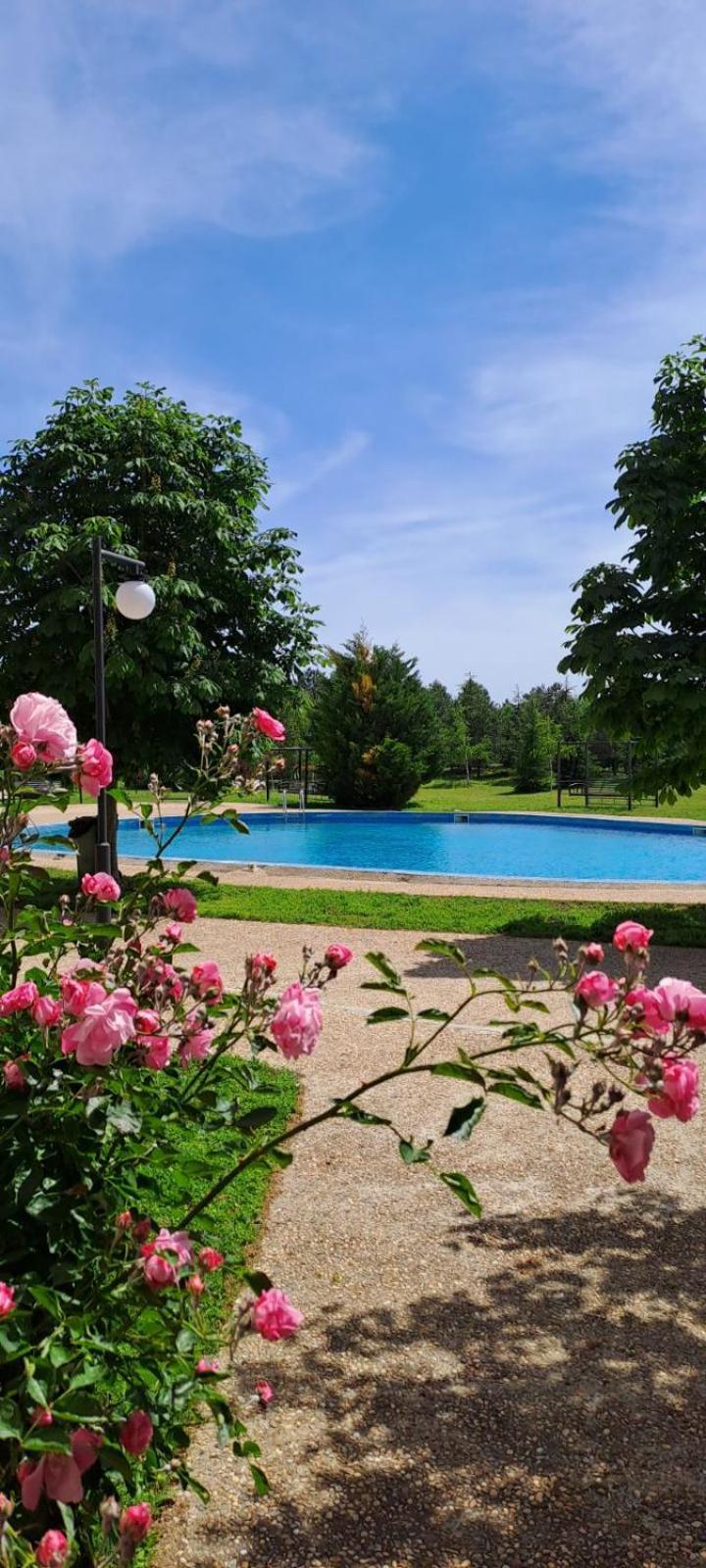 Lighthouse Golf Apart Complex&Villas 발치크 외부 사진
